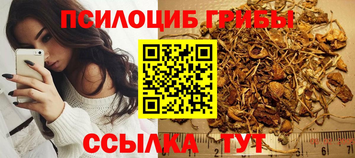 где купить наркоту  Псилоцибиновые грибы мухоморы  Вход с VPN  Тихорецк 